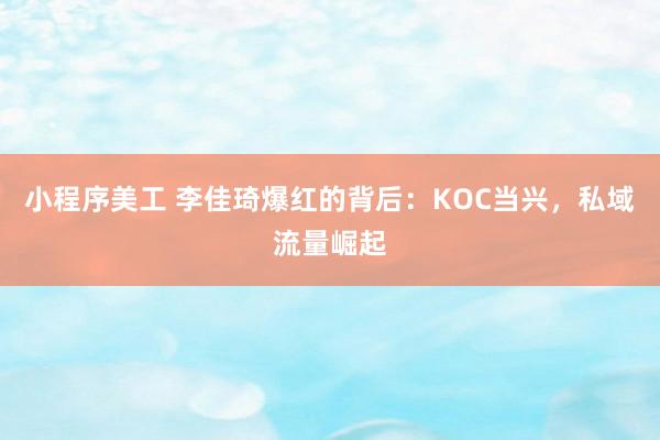 小程序美工 李佳琦爆红的背后：KOC当兴，私域流量崛起