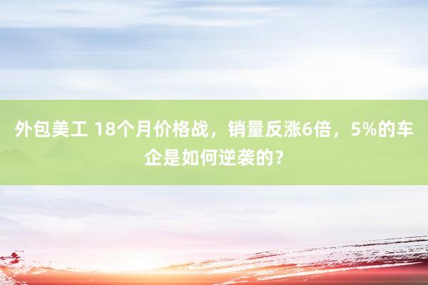 外包美工 18个月价格战，销量反涨6倍，5%的车企是如何逆袭的？