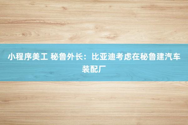 小程序美工 秘鲁外长：比亚迪考虑在秘鲁建汽车装配厂