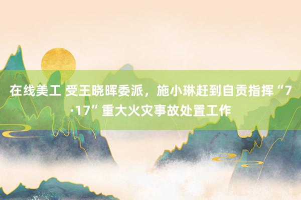 在线美工 受王晓晖委派，施小琳赶到自贡指挥“7·17”重大火灾事故处置工作