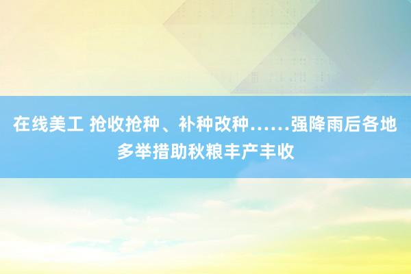 在线美工 抢收抢种、补种改种……强降雨后各地多举措助秋粮丰产丰收