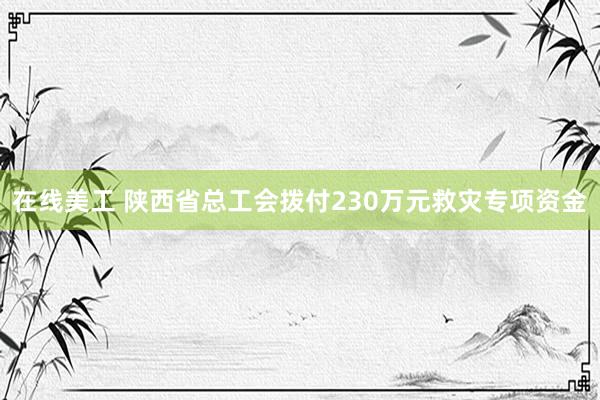 在线美工 陕西省总工会拨付230万元救灾专项资金