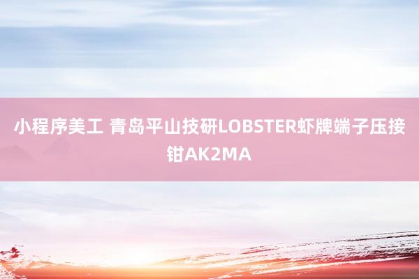 小程序美工 青岛平山技研LOBSTER虾牌端子压接钳AK2MA