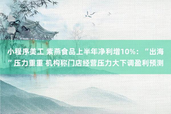 小程序美工 紫燕食品上半年净利增10%：“出海”压力重重 机构称门店经营压力大下调盈利预测